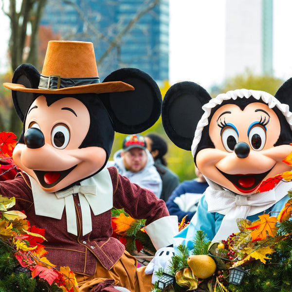 The Various "Cartoons" Categories You Can Check